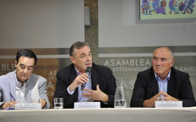 Día Nacional del Tercer Sector